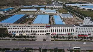 内蒙原果沙棘蜜浆 工厂直供30ml袋装批发，保健食品新风尚